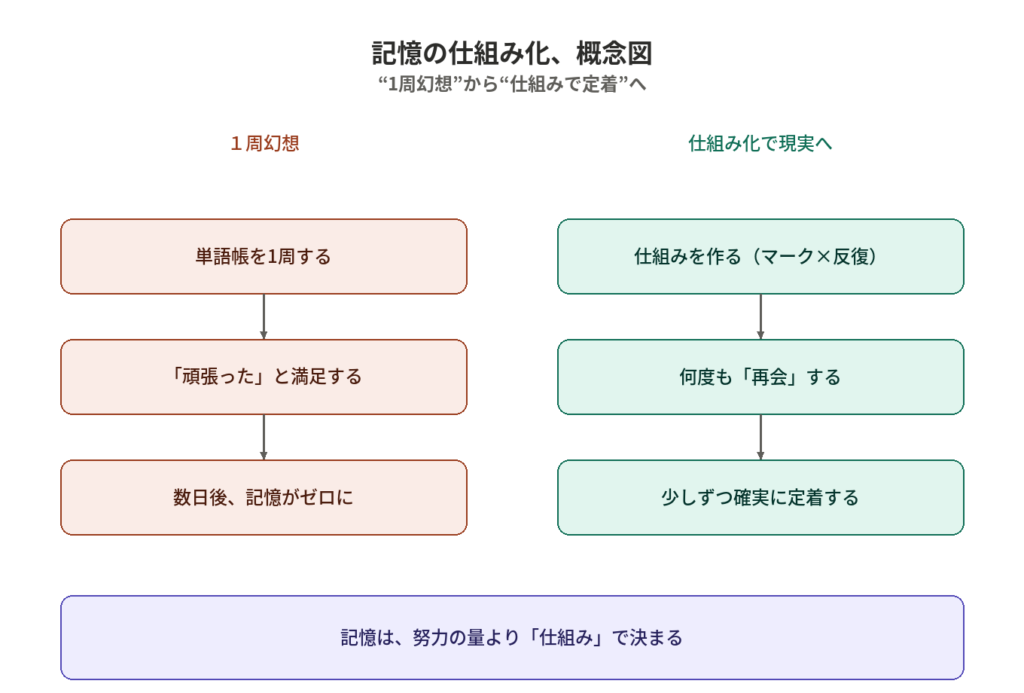 単語帳1周幻想と記憶の仕組み化の対比概念図