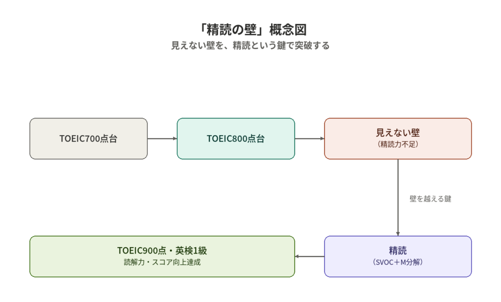 TOEIC700点台から800点台、見えない壁（精読力不足）を精読で突破し900点・英検1級に至る概念図