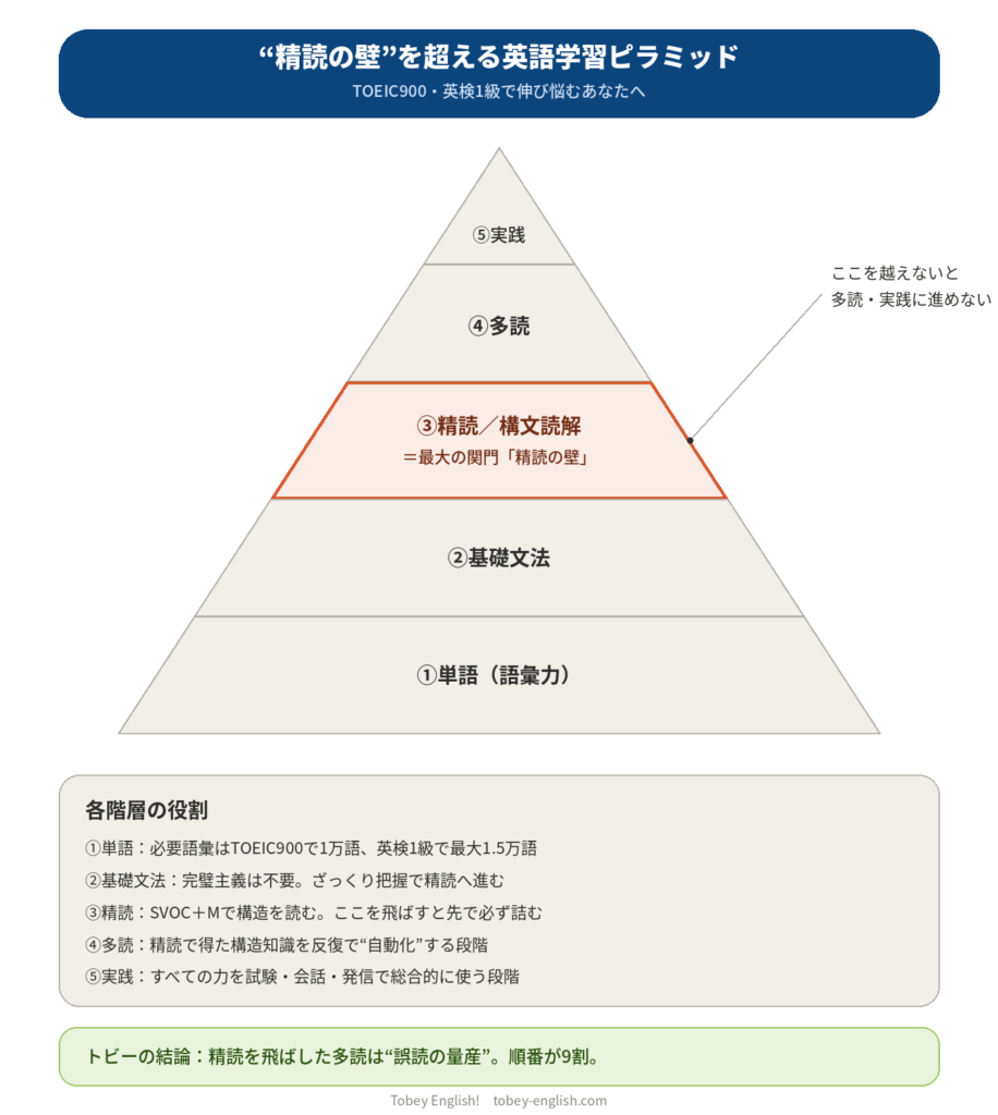 単語・基礎文法・精読・多読・実践の5階層からなる英語学習ピラミッド図解、精読の壁を強調