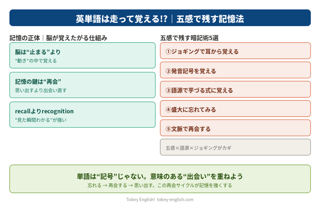 英単語は走って覚える!?｜五感で残す記憶法の正体と暗記術5選を示す図解