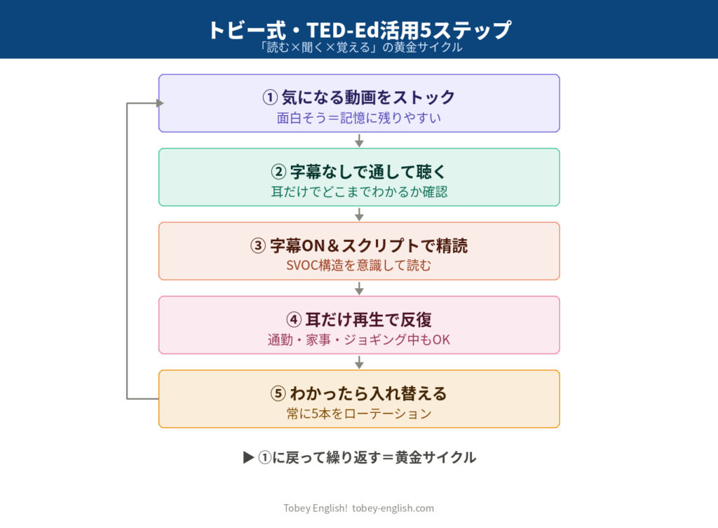 トビー式・TED-Ed活用5ステップの循環図|読む×聞く×覚えるの黄金サイクル