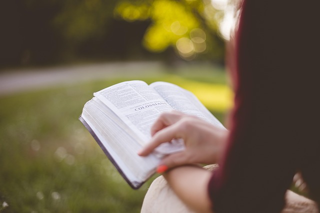 英語の本を静かに読むひととき 屋外で英語の本を読んでいる人の手元。自然光の中で静かにページをめくっている様子。
