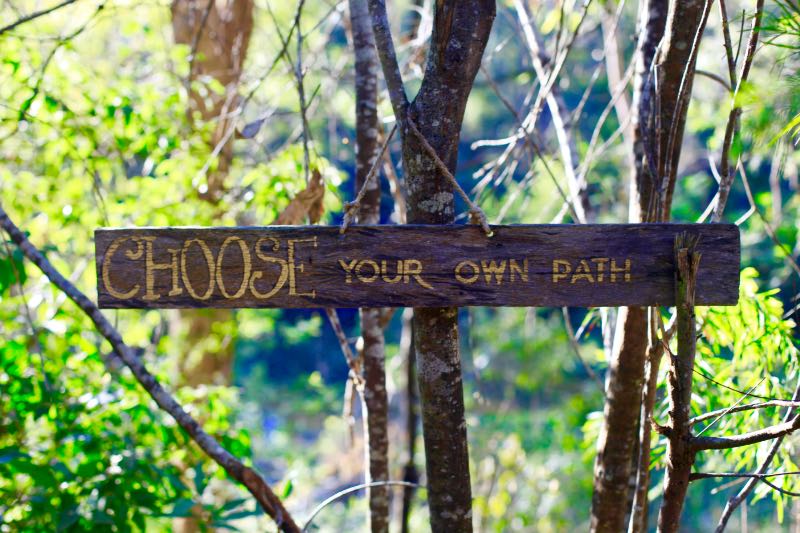 単語帳は1冊で終わらない。あなたの戦略を選ぼう 「Choose your own path」と書かれた木製の標識。学習ルートを選ぶことを象徴する看板