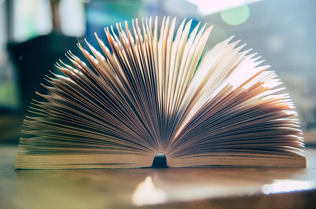 「読む力」が英語リスニングを支える──精読が先読みの土台に。 光に照らされて開かれた本のページが広がっている様子