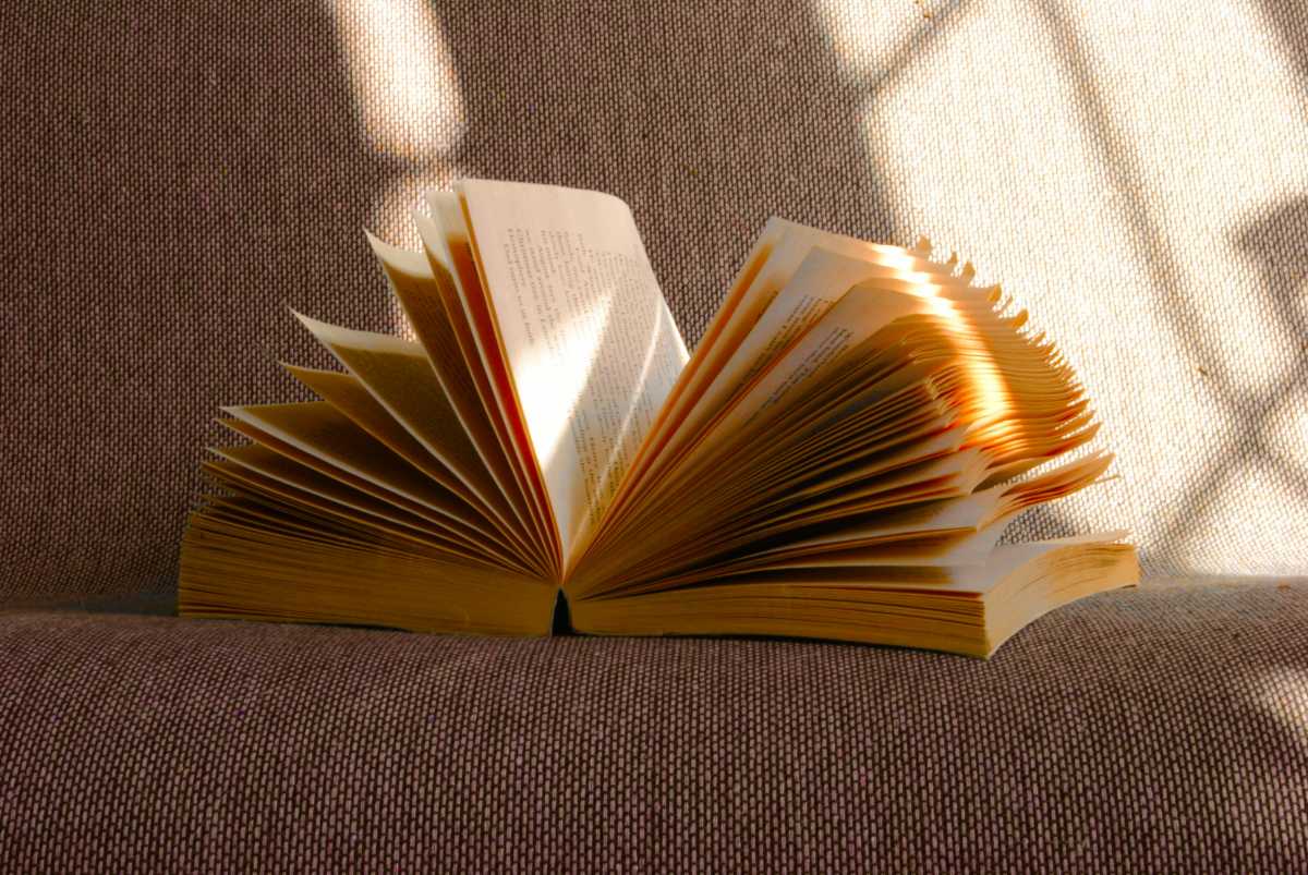 ソファの上で光を受けて開かれた本｜単語との出会いをテーマにしたアイキャッチ