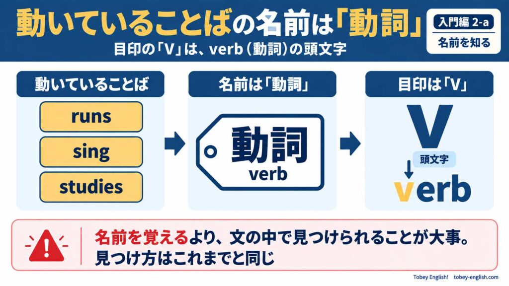 左に「動いていることば」として runs・sing・studies の3語をアンバーのボックスで縦に並べ、右向きの矢印で中央の荷札型の名札「動詞 verb」につなぎ、さらに矢印で右の大きな「V」につないだ図。「V」の下には「頭文字」と書いた下向きの矢印があり、verb の頭文字「v」がアンバーで強調されている。下部には「名前を覚えるより、文の中で見つけられることが大事。見つけ方はこれまでと同じ」という注意書きがある。