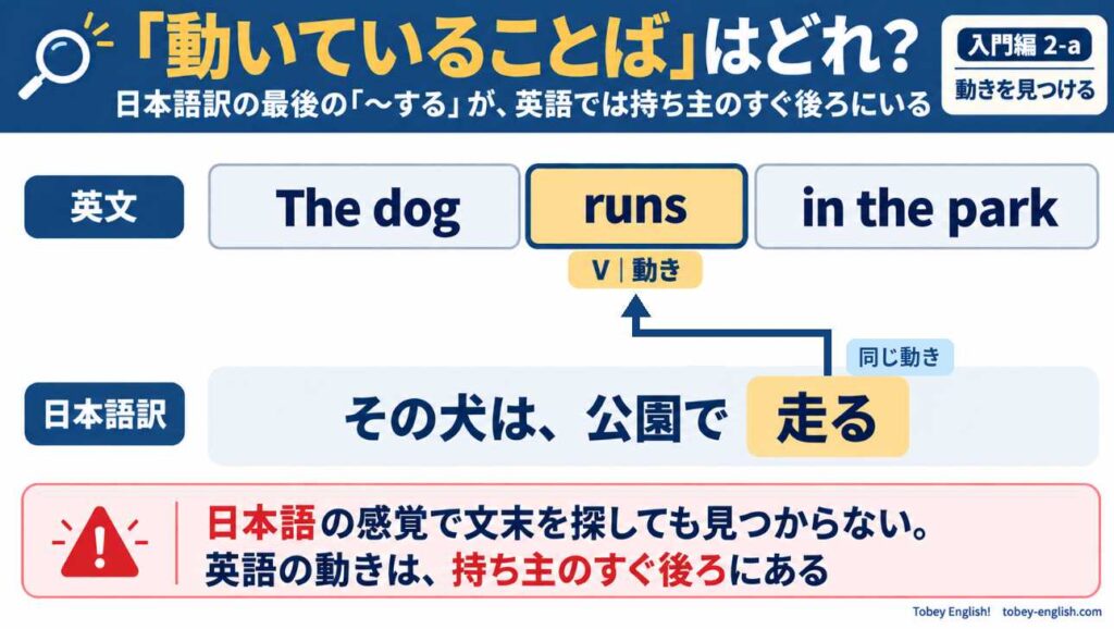 英文 The dog runs in the park. を「The dog」「runs」「in the park」の3つのボックスに分け、runs だけをアンバーで強調して「V|動き」とラベルを付けた図。下段の日本語訳「その犬は、公園で走る」の文末「走る」から、上段の runs へ矢印が折れ曲がりながら伸びていて、矢印の横に「同じ動き」と書かれている。下部には「日本語の感覚で文末を探しても見つからない。英語の動きは、持ち主のすぐ後ろにある」という注意書きがある。