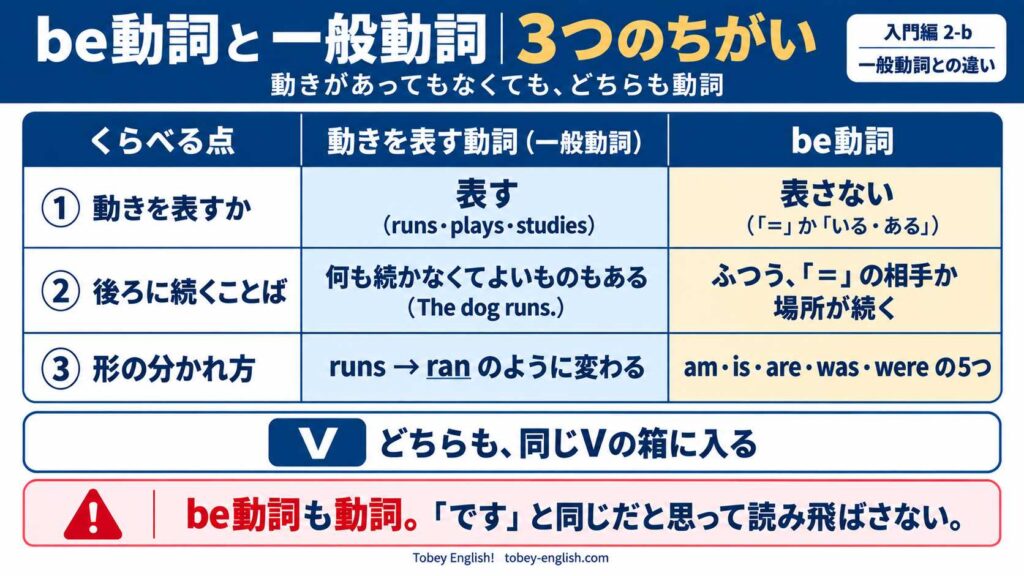 動きを表す動詞(一般動詞)とbe動詞を3つの点で比べた表。①動きを表すか:一般動詞は表す(runs・plays・studies)、be動詞は表さない(「=」か「いる・ある」)。②後ろに続くことば:一般動詞は何も続かなくてよいものもある(The dog runs.)、be動詞はふつう「=」の相手か場所が続く。③形の分かれ方:一般動詞は runs → ran のように変わる、be動詞は am・is・are・was・were の5つ。下に「どちらも、同じVの箱に入る」、注意書き「be動詞も動詞。『です』と同じだと思って読み飛ばさない」 動きを表す動詞(一般動詞)とbe動詞を3つの点で比べた表。①動きを表すか:一般動詞は表す(runs・plays・studies)、be動詞は表さない(「=」か「いる・ある」)。②後ろに続くことば:一般動詞は何も続かなくてよいものもある(The dog runs.)、be動詞はふつう「=」の相手か場所が続く。③形の分かれ方:一般動詞は runs → ran のように変わる、be動詞は am・is・are・was・were の5つ。下に「どちらも、同じVの箱に入る」、注意書き「be動詞も動詞。『です』と同じだと思って読み飛ばさない」