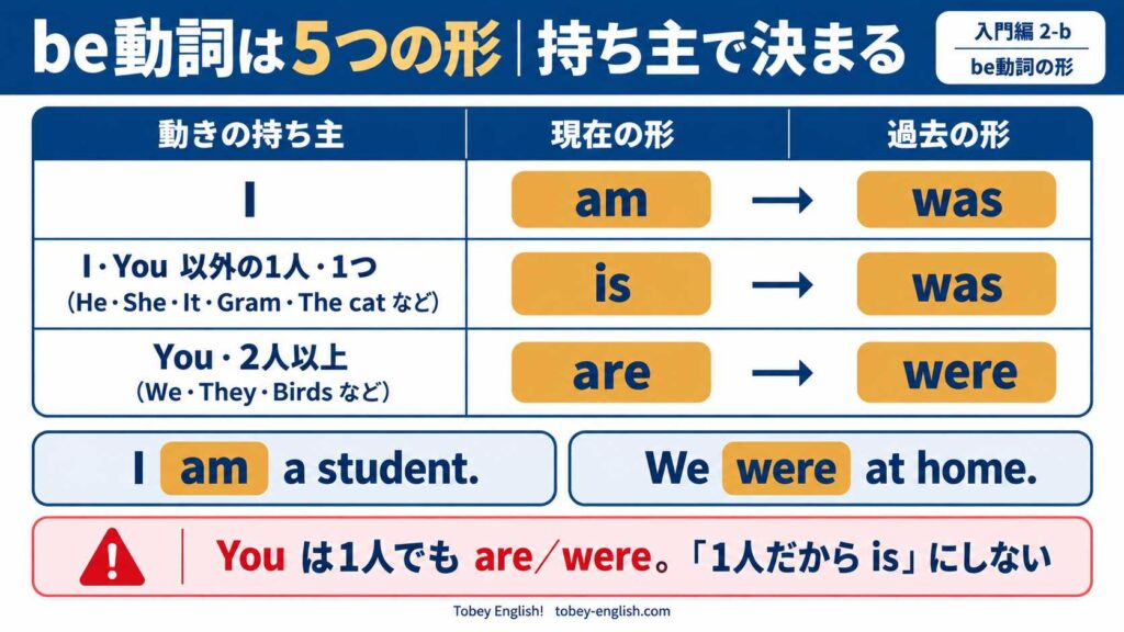 be動詞の5つの形を、動きの持ち主ごとにまとめた対応表。I は現在 am・過去 was、I と You 以外の1人・1つ(He・She・It・Gram・The cat など)は現在 is・過去 was、You と2人以上(We・They・Birds など)は現在 are・過去 were。例文 I am a student. と We were at home. で be動詞を強調し、下部に「You は1人でも are/were。『1人だから is』にしない」という注意書き