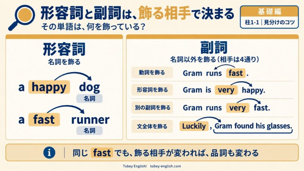 形容詞と副詞の見分け方の比較図。形容詞は名詞を飾る(a happy dog、a fast runner)。副詞は名詞以外を飾り、相手は4通り。動詞を飾る(Gram runs fast.)、形容詞を飾る(Gram is very happy.)、別の副詞を飾る(Gram runs very fast.)、文全体を飾る(Luckily, Gram found his glasses.)。下部に「同じ fast でも、飾る相手が変われば、品詞も変わる」との注記つき